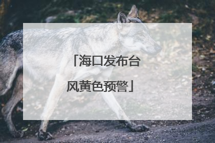 海口发布台风黄色预警