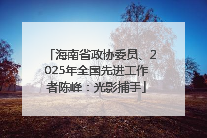 海南省政协委员、2025年全国先进工作者陈峰：光影捕手