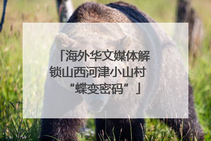 海外华文媒体解锁山西河津小山村“蝶变密码”