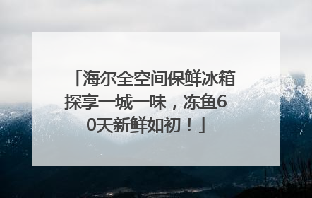 海尔全空间保鲜冰箱探享一城一味，冻鱼60天新鲜如初！