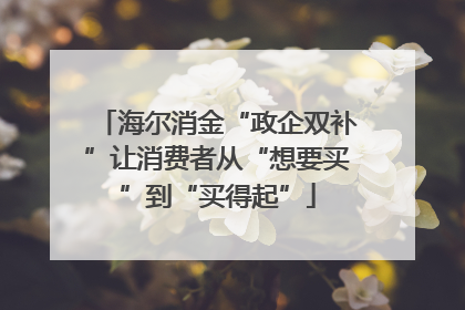 海尔消金“政企双补”让消费者从“想要买”到“买得起”