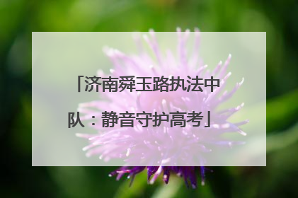 济南舜玉路执法中队：静音守护高考
