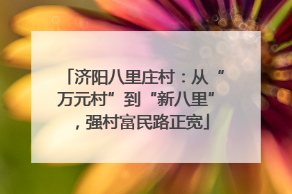 济阳八里庄村：从“万元村”到“新八里”，强村富民路正宽