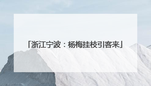 浙江宁波：杨梅挂枝引客来