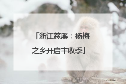 浙江慈溪：杨梅之乡开启丰收季
