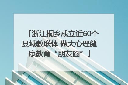 浙江桐乡成立近60个县域教联体 做大心理健康教育“朋友圈”