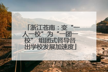 浙江苍南：变“一人一校”为“一团一校” 组团式督导督出学校发展加速度