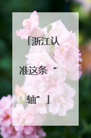 浙江认准这条“轴”