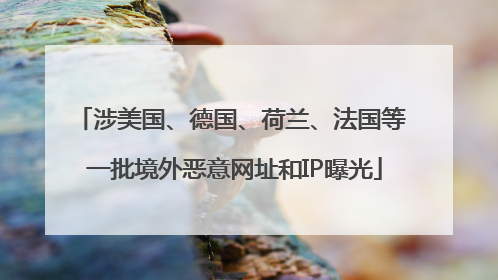 涉美国、德国、荷兰、法国等 一批境外恶意网址和IP曝光