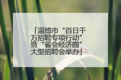 淄博市“百日千万招聘专项行动”暨“省会经济圈”大型招聘会举办