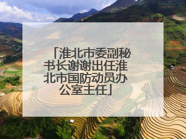 淮北市委副秘书长谢谢出任淮北市国防动员办公室主任
