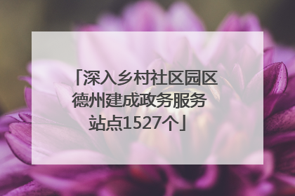 深入乡村社区园区 德州建成政务服务站点1527个