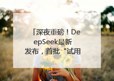 深夜重磅！DeepSeek最新发布，首批“试用体验”出炉→