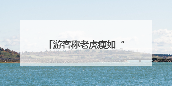游客称老虎瘦如“卡片”？北京动物园：体重正常，饲料能保障营养需求