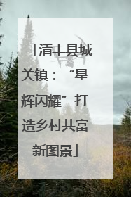 清丰县城关镇：“星辉闪耀”打造乡村共富新图景