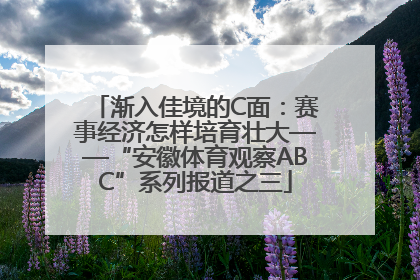 渐入佳境的C面：赛事经济怎样培育壮大——“安徽体育观察ABC”系列报道之三