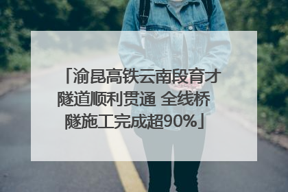 渝昆高铁云南段育才隧道顺利贯通 全线桥隧施工完成超90%