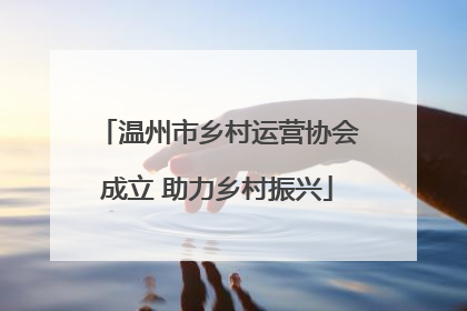 温州市乡村运营协会成立 助力乡村振兴