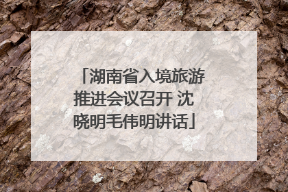 湖南省入境旅游推进会议召开 沈晓明毛伟明讲话