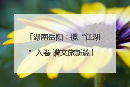 湖南岳阳：揽“江湖”入卷 谱文旅新篇