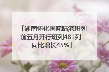 湖南怀化国际陆港班列前五月开行班列481列 同比增长45%