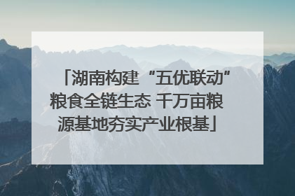 湖南构建“五优联动”粮食全链生态 千万亩粮源基地夯实产业根基