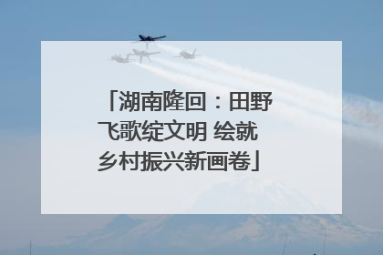 湖南隆回：田野飞歌绽文明 绘就乡村振兴新画卷