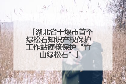 湖北省十堰市首个绿松石知识产权保护工作站硬核保护“竹山绿松石”
