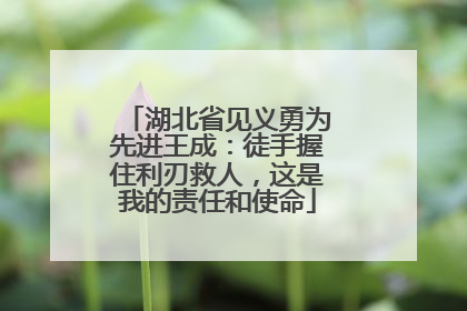 湖北省见义勇为先进王成：徒手握住利刃救人，这是我的责任和使命