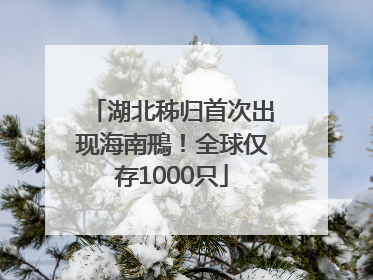 湖北秭归首次出现海南鳽！全球仅存1000只