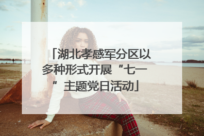 湖北孝感军分区以多种形式开展“七一”主题党日活动