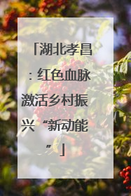 湖北孝昌：红色血脉激活乡村振兴“新动能”