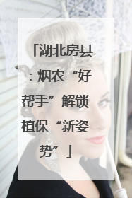 湖北房县：烟农“好帮手”解锁植保“新姿势”