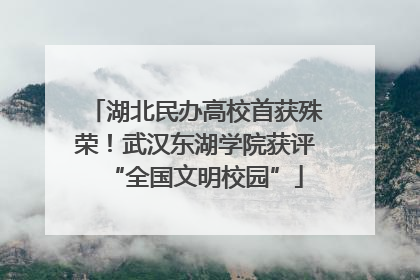 湖北民办高校首获殊荣！武汉东湖学院获评“全国文明校园”