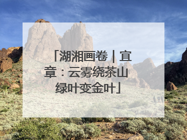 湖湘画卷｜宜章：云雾绕茶山 绿叶变金叶