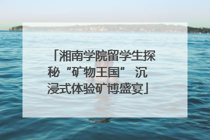 湘南学院留学生探秘“矿物王国” 沉浸式体验矿博盛宴