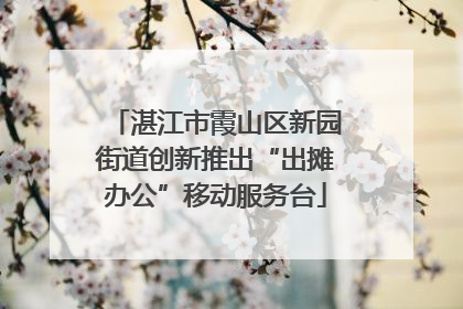 湛江市霞山区新园街道创新推出“出摊办公”移动服务台