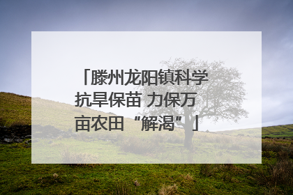 滕州龙阳镇科学抗旱保苗 力保万亩农田“解渴”