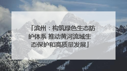 滨州：构筑绿色生态防护体系 推动黄河流域生态保护和高质量发展