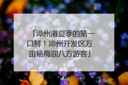 漳州港夏季的第一口鲜！漳州开发区万亩杨梅迎八方游客