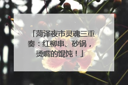 菏泽夜市灵魂三重奏：红柳串、砂锅，烫嘴的馄饨！