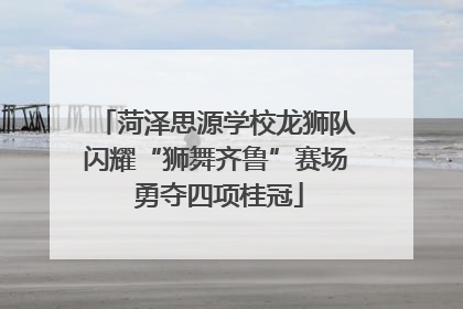 菏泽思源学校龙狮队闪耀“狮舞齐鲁”赛场 勇夺四项桂冠