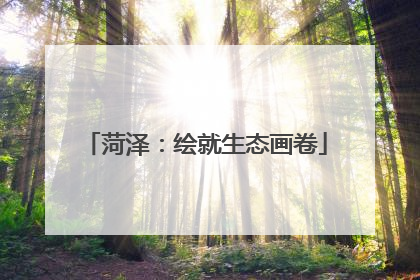 菏泽：绘就生态画卷
