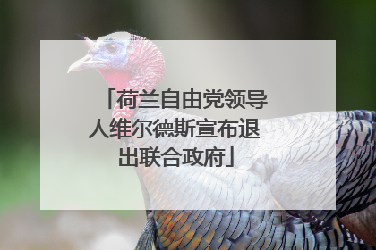 荷兰自由党领导人维尔德斯宣布退出联合政府