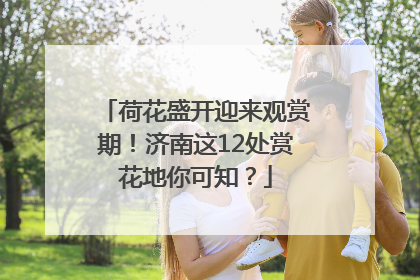 荷花盛开迎来观赏期！济南这12处赏花地你可知？