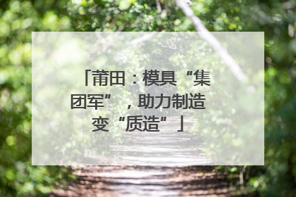 莆田:模具“集团军”,助力制造变“质造”