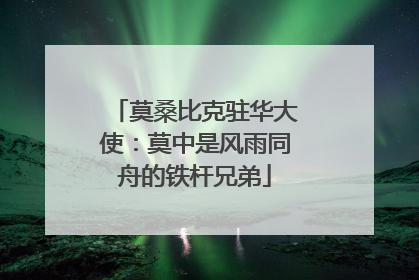 莫桑比克驻华大使：莫中是风雨同舟的铁杆兄弟