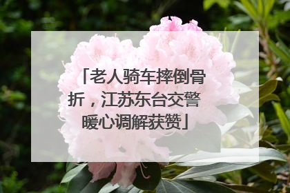 老人骑车摔倒骨折，江苏东台交警暖心调解获赞
