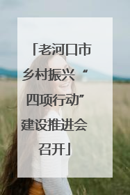 老河口市乡村振兴“四项行动”建设推进会召开