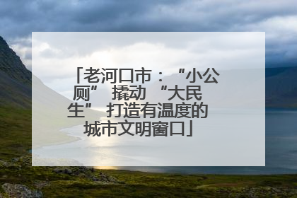 老河口市：“小公厕” 撬动 “大民生” 打造有温度的城市文明窗口